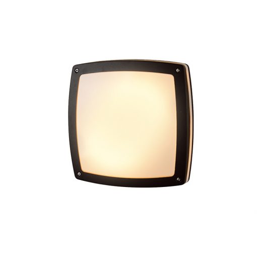 Outdoor Ceiling Lamp Gray Fano AZZARDO-2186