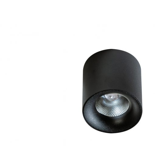 Spot lamp 10 Black Mane AZZARDO-4153