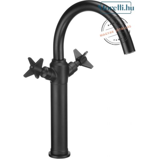 DEANTE-BQT-N25D TEMISTO Black Color Washbasin Faucet Double Lever Rotatable Spout