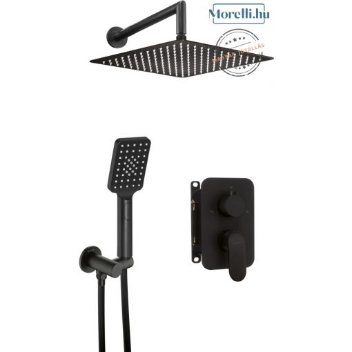 DEANTE-BXYZNGAM ALPINIA Black Undermount Shower Set with Fixed Spout