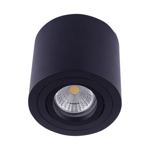 Ceiling Lamp Matt Black EMITHOR 48607