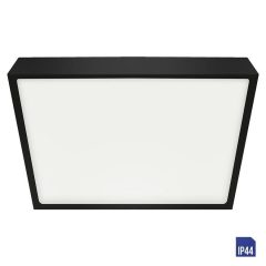 Bathroom Ceiling Lamp Black EMITHOR 49055