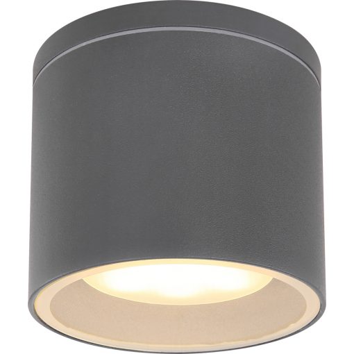 Outdoor Ceiling Lamp Anthracite ALCALA GLOBO-32063A