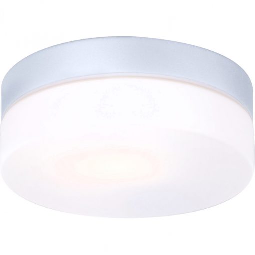 Outdoor Ceiling Lamp Silver VRANemS GLOBO-32111