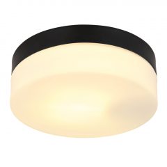 Outdoor Ceiling Lamp Matt black VRANOS GLOBO-32111B