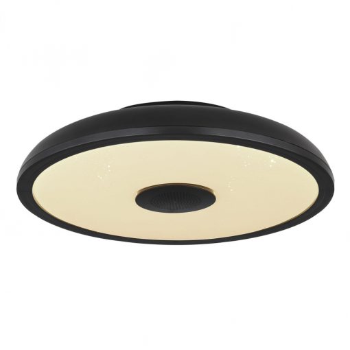 Ceiling Lamp Black RAFFY GLOBO-41366B