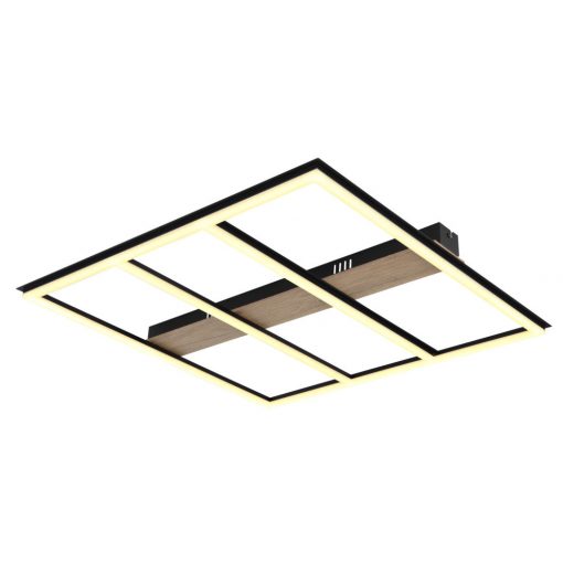 Ceiling Lamp Matt black FROOMY GLOBO-67291-48