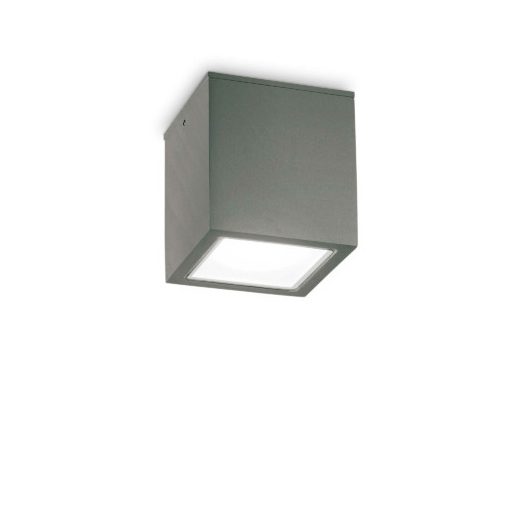 Outdoor Ceiling Lamp Anthracite TECHO IDEAL LUX 251516