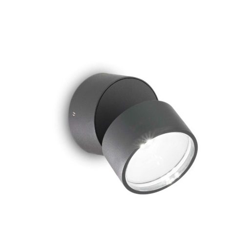 Outdoor Wall Lamp Anthracite OMEGA ROUND IDEAL LUX 285450