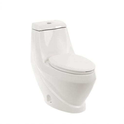 Coral Monobloc toilet bowl with lower spout and soft close seat