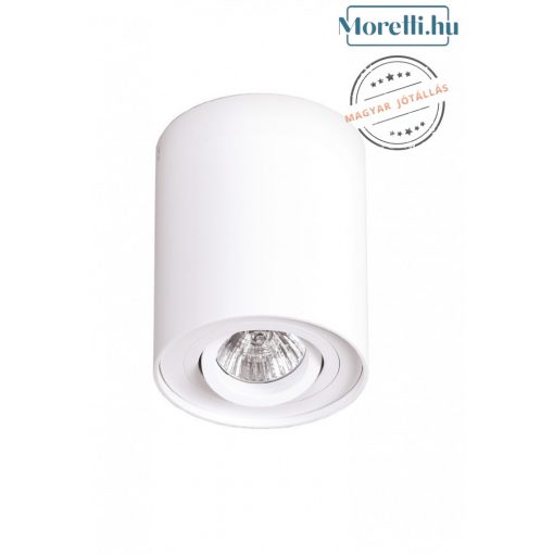 Ceiling Lamp White MAXLIGHT C0067