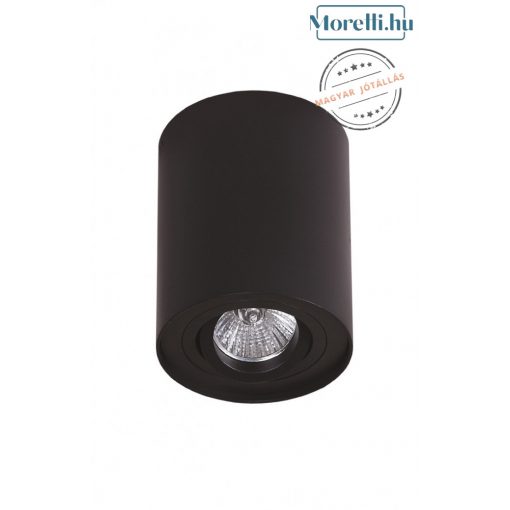 Ceiling Lamp Black MAXLIGHT C0068