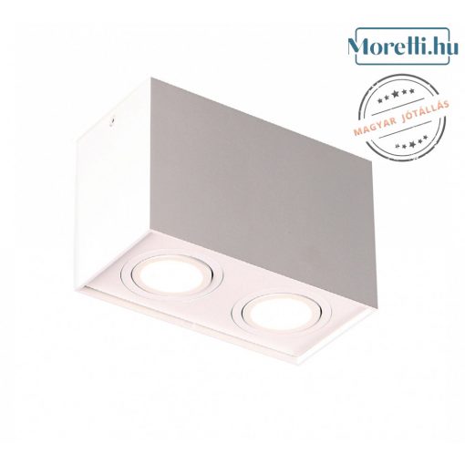 Ceiling Lamp White MAXLIGHT C0088