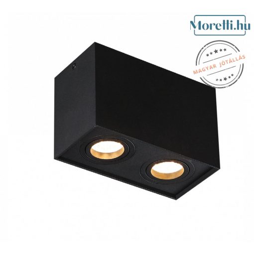 Ceiling Lamp Black MAXLIGHT C0089