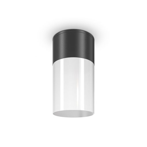 Outdoor Ceiling Lamp Black WILLIS MAYTONI O418CL-01B