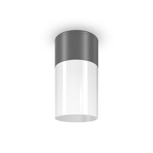 Outdoor Ceiling Lamp Graphite WILLIS MAYTONI O418CL-01GR