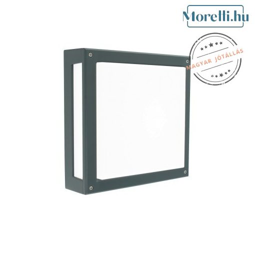 Outdoor Ceiling Lamp Graphite NORDLAND NORLYS 5043GR