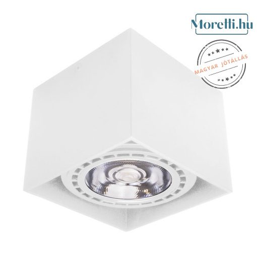 Ceiling Lamp White LARS PALNAS 61003313