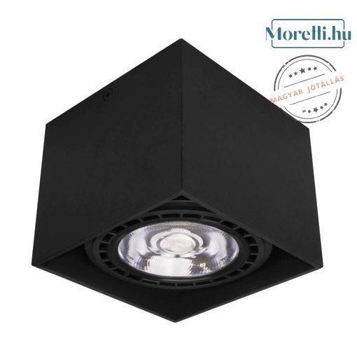 Ceiling Lamp Black LARS PALNAS 61003320