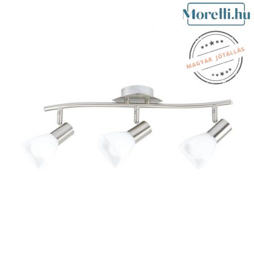 Ceiling Lamp Matt Chrome ASTER PRESENT 65002