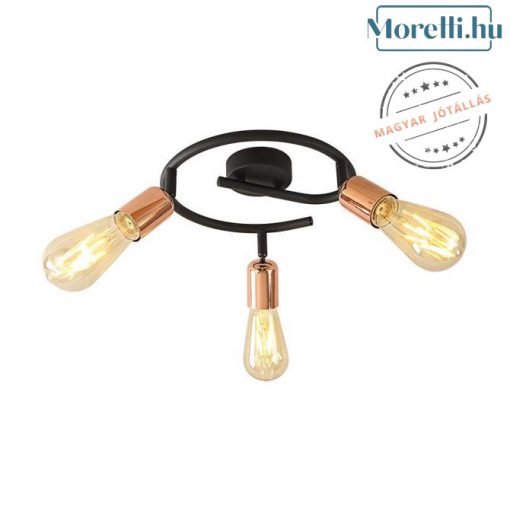 Ceiling Lamp Black DARIA PRESENT 75562