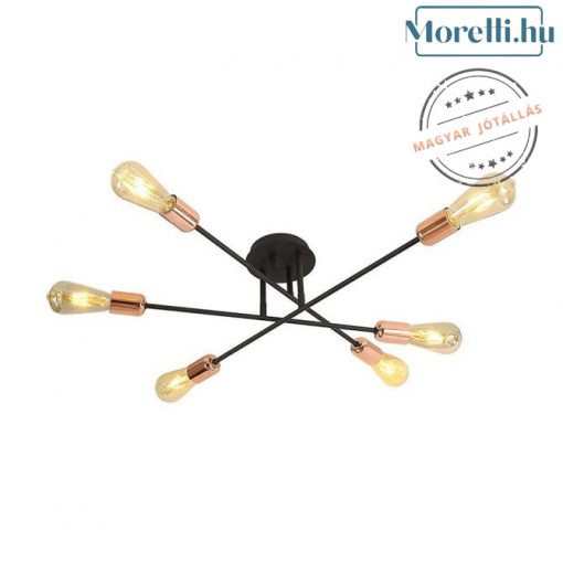 Ceiling Lamp Black DARIA PRESENT 75564