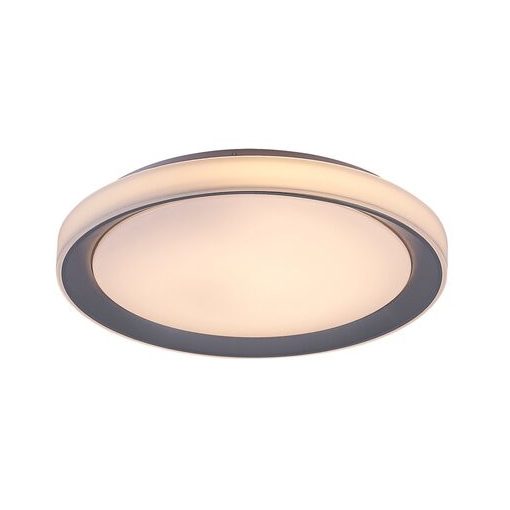 Ceiling Lamp Silver EVEREST RABALUX-3510