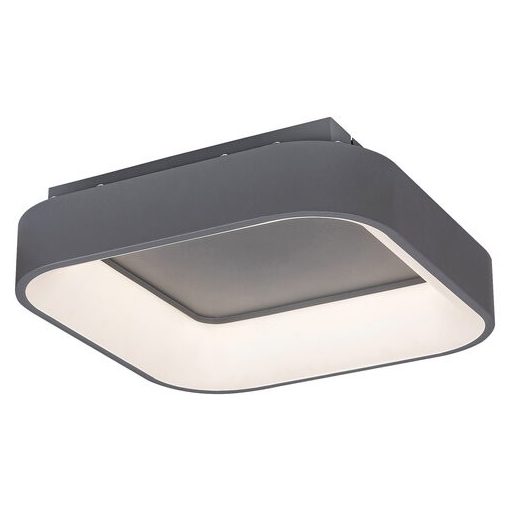 Ceiling Lamp Gray ADELINE RABALUX-3926