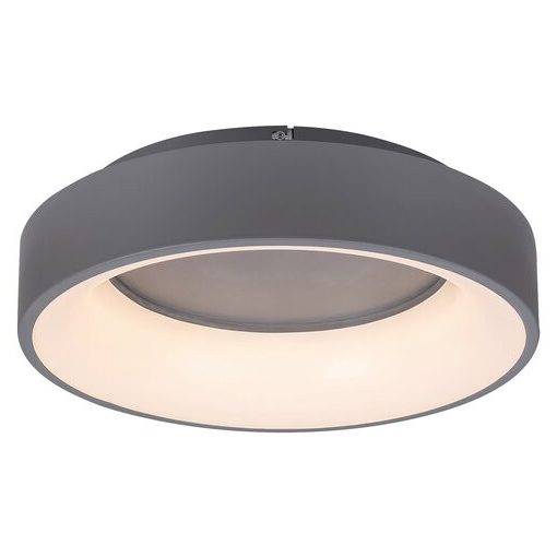 Ceiling Lamp Gray ADELINE RABALUX-3928