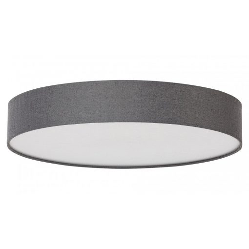 Ceiling Lamp Gray ARTEMIS RABALUX-5681