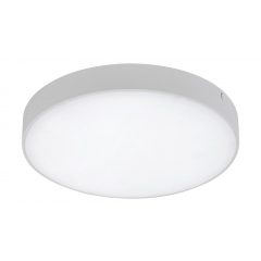 Outdoor Lamp Matt White TARTU RABALUX-7893