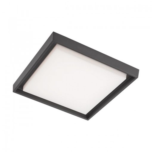 Outdoor Ceiling Lamp Gray BEZEL REDO 9190