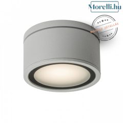 Outdoor Ceiling Lamp Silver MERIDO RENDL R10429