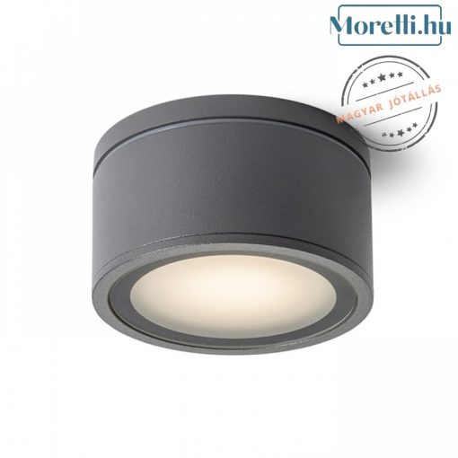 Outdoor Ceiling Lamp Anthracite MERIDO RENDL R10430