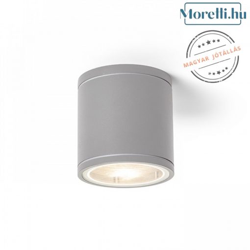 Outdoor Ceiling Lamp Silver LIZZI RENDL R13506