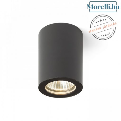 Outdoor Ceiling Lamp Black LOLA RENDL R13542