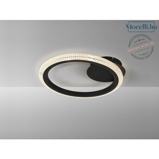 Ceiling Lamp Black RING SCHULLER 717847