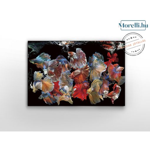 SCHULLER-755016 PECES SIAM MULTICOLOR IMAGE