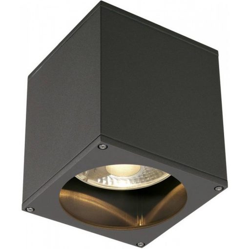 Outdoor Ceiling Lamp Antraict BIG THEO SLV 229555