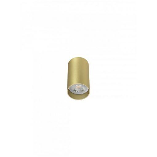 Ceiling Lamp Matt gold AXIS SMARTER 01-2145