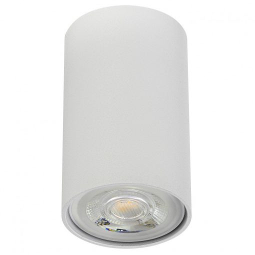 Ceiling Lamp Matt white AXIS SMARTER 01-2147