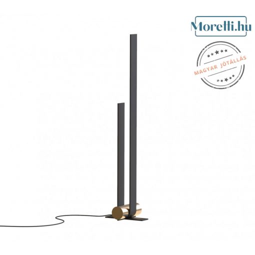 Floor lamp Black NASTRO TOOY 563-62-C74-C41