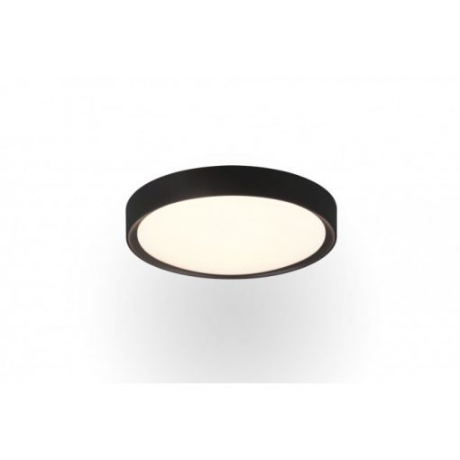 Ceiling Lamp Black CLARIMO TRIO 659011832