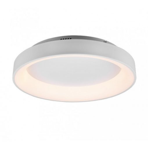 Ceiling Lamp Gray GIRONA TRIO 671290131