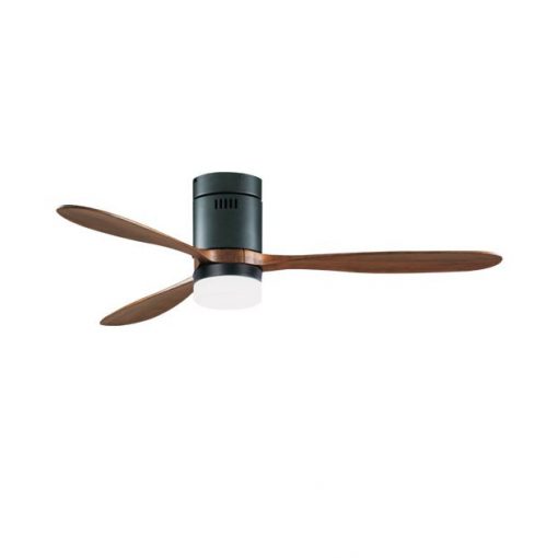 Fan Lamp Black ZAMBELIS 19144