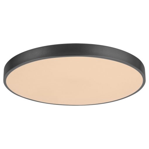 Ceiling Lamp Matt Black TESIA RABALUX-3314